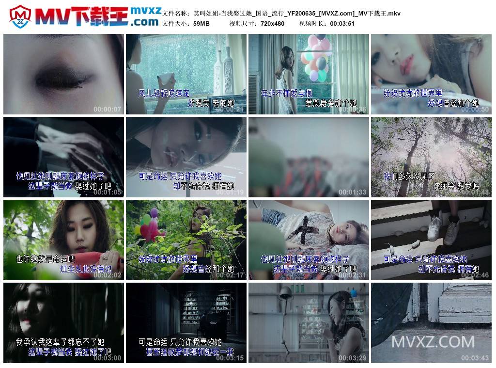 莫叫姐姐-当我娶过她_国语_流行_YF200635